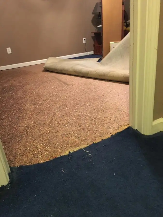 Carpet pad removal revealing water damage during Drying & Dehumidification in Orangeburg