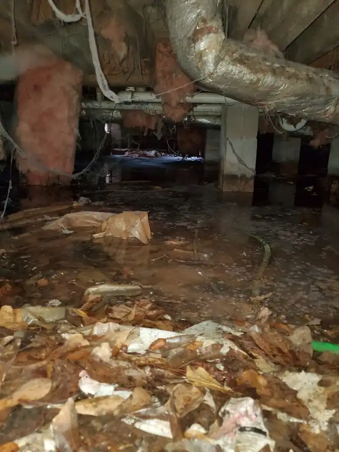 Crawl space flood assessment for Commercial Water Damage Restoration in Orangeburg
